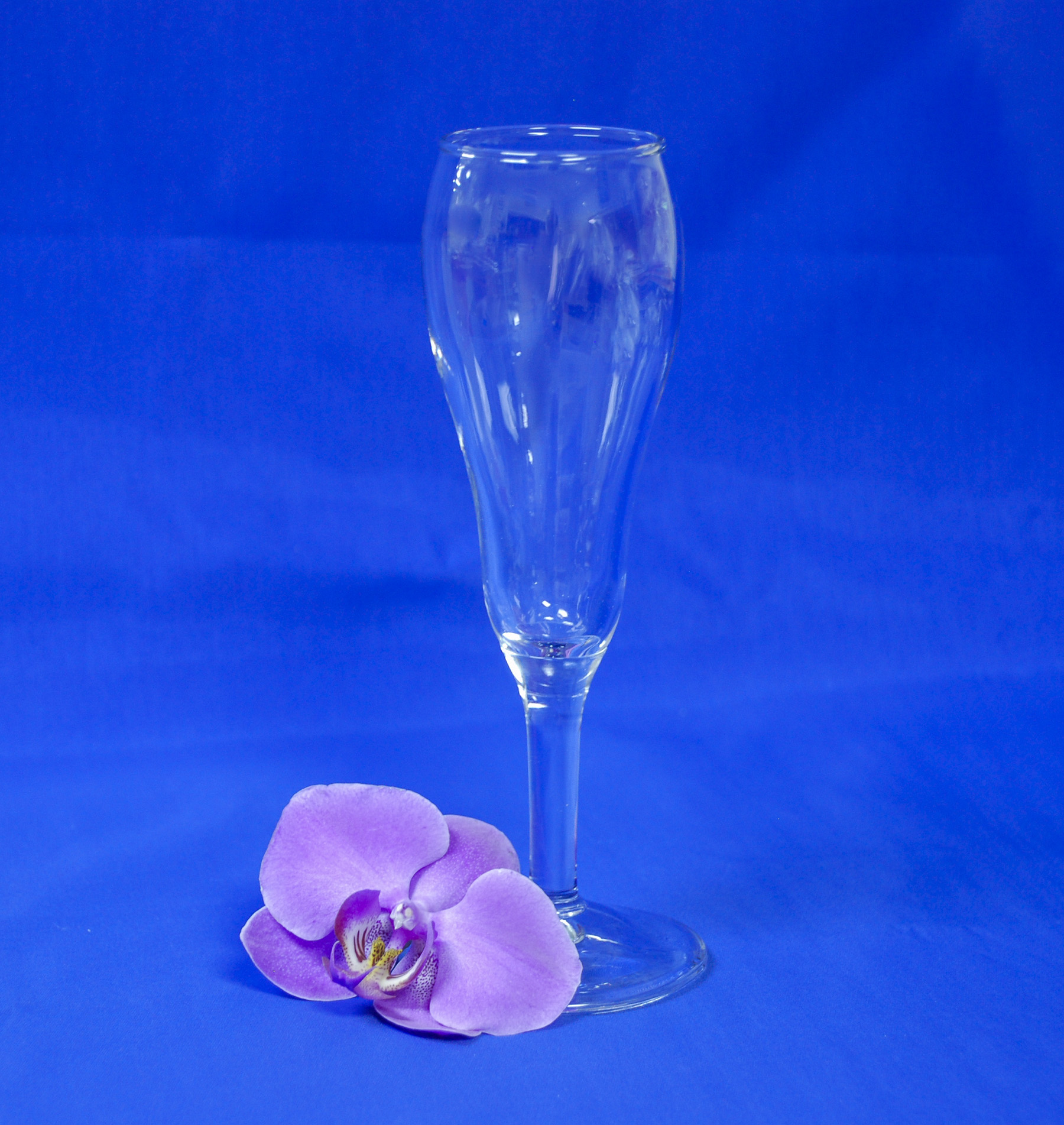 Champagne Tulip Glass Oz In Glassware At Ellco Rentals Event Equipment Wedding Rentals In